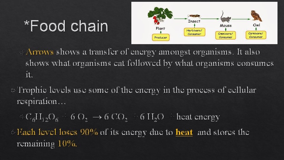 *Food chain Arrows shows a transfer of energy amongst organisms. It also shows what