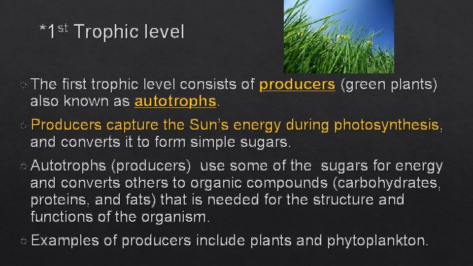 *1 st Trophic level The first trophic level consists of producers (green plants) also