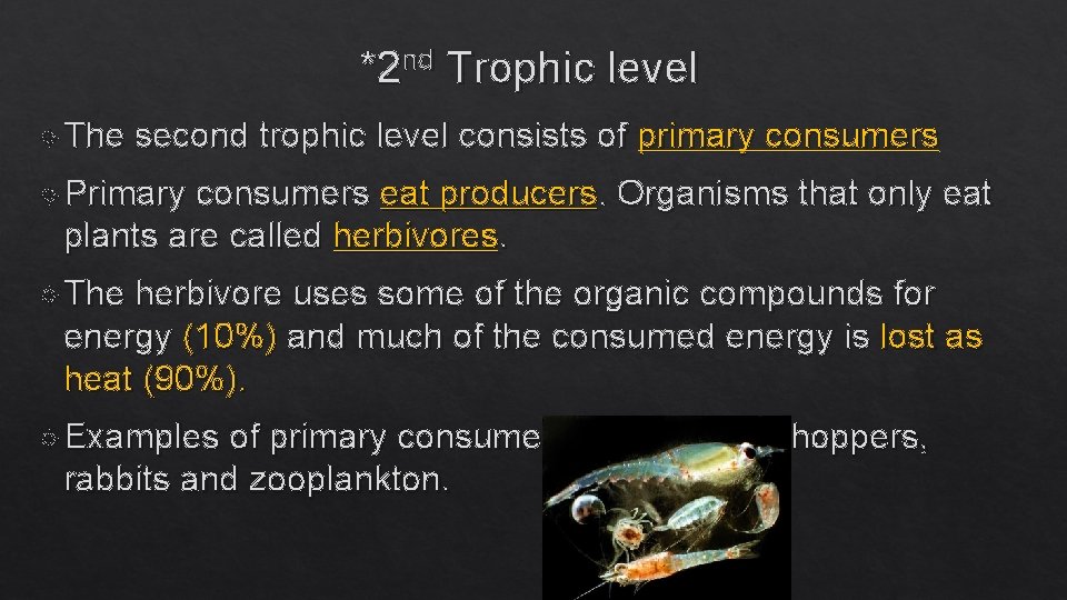 *2 nd Trophic level The second trophic level consists of primary consumers Primary consumers
