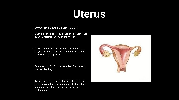 Uterus • Dysfunctional Uterine Bleeding (DUB)- • DUB is defined as irregular uterine bleeding