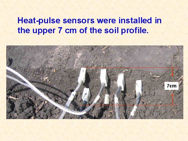 Heat-pulse sensors were installed in the upper 7 cm of the soil profile. 7