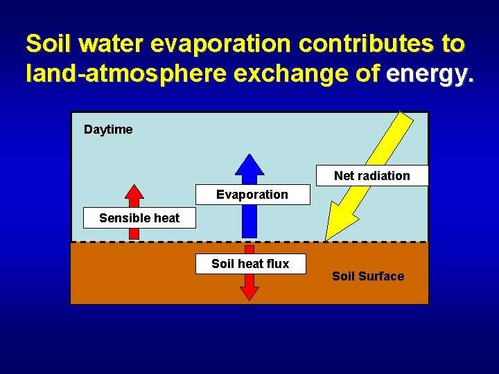 Soil water evaporation contributes to land-atmosphere exchange of energy. Daytime Net radiation Evaporation Sensible