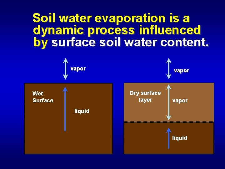 Soil water evaporation is a dynamic process influenced by surface soil water content. vapor