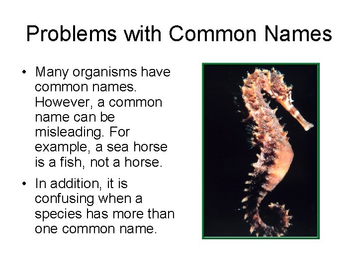 Problems with Common Names • Many organisms have common names. However, a common name