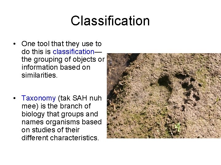 Classification • One tool that they use to do this is classification— the grouping