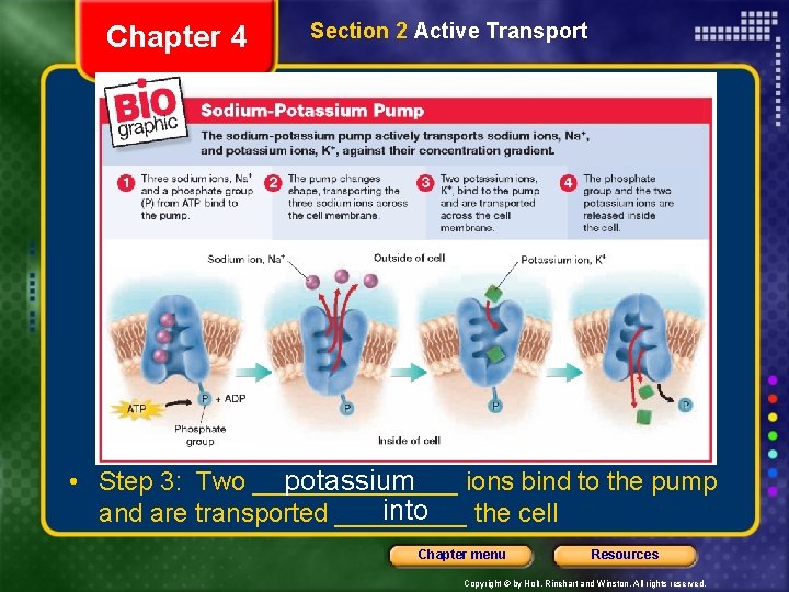 Chapter 4 Section 2 Active Transport • Step 3: Two _______ ions bind to