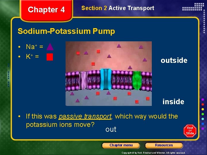 Chapter 4 Section 2 Active Transport Sodium-Potassium Pump • Na+ = • K+ =