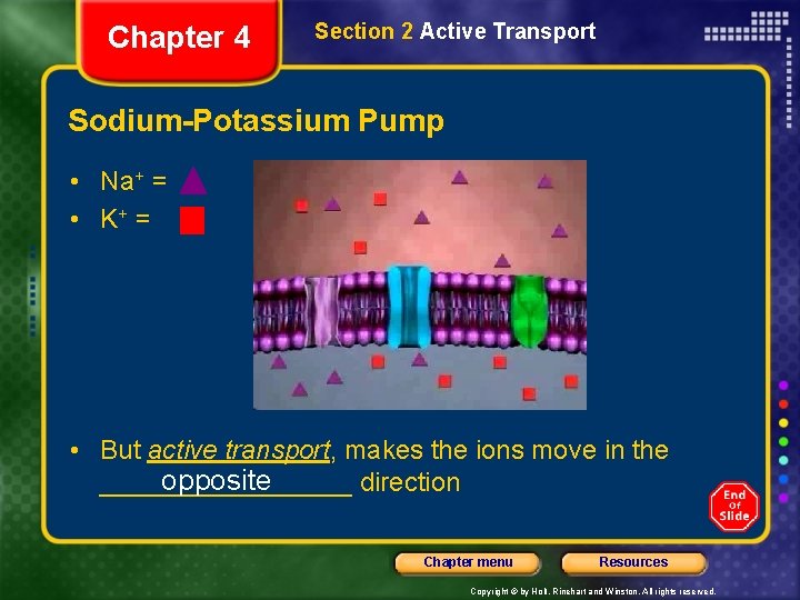 Chapter 4 Section 2 Active Transport Sodium-Potassium Pump • Na+ = • K+ =