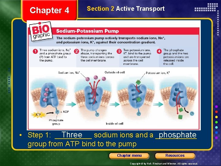 Chapter 4 Section 2 Active Transport • Step 1: _____ Three sodium ions and