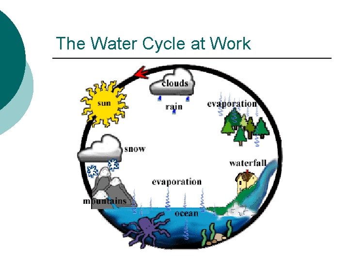 The Water Cycle at Work 