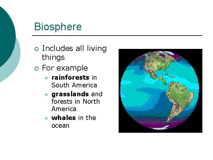 Biosphere ¡ ¡ Includes all living things For example l l l rainforests in