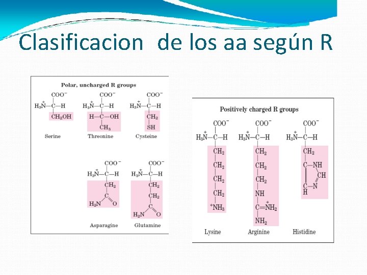 Clasificacion de los aa según R 