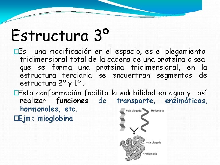 Estructura 3º �Es una modificación en el espacio, es el plegamiento tridimensional total de