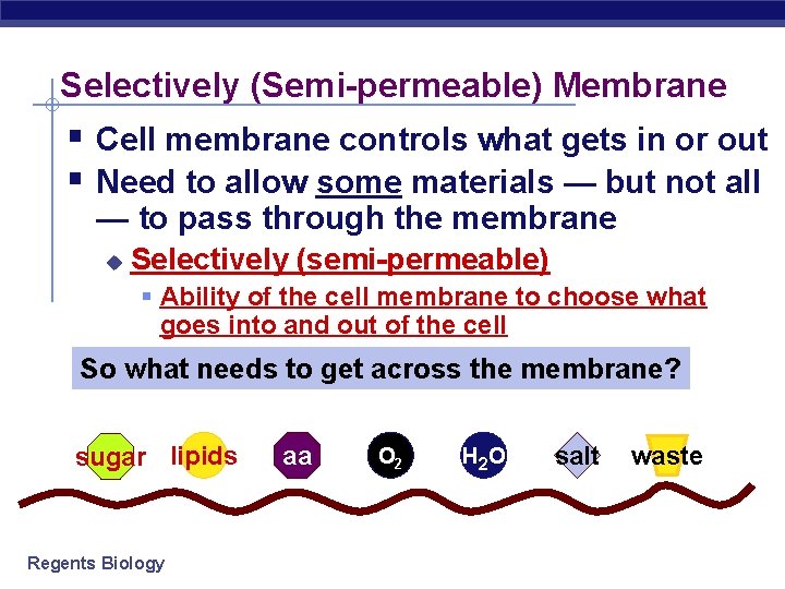 Cell Membranes Movement Across Them Regents Biology 2006