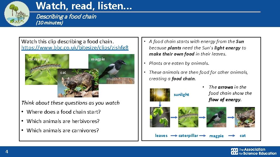 Logo for section to sit inside roundel Watch, read, listen… Describing a food chain