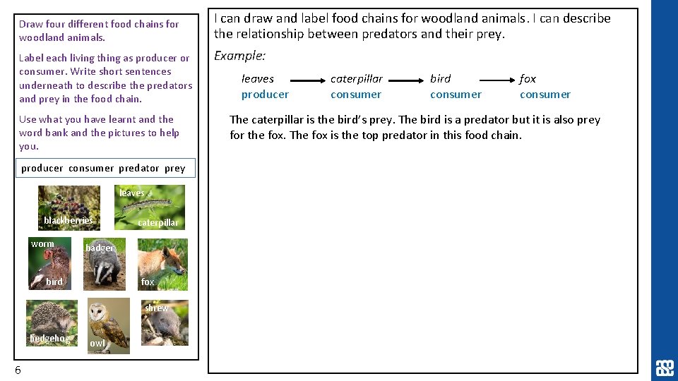 Draw four different food chains for woodland animals. Label each living thing as producer