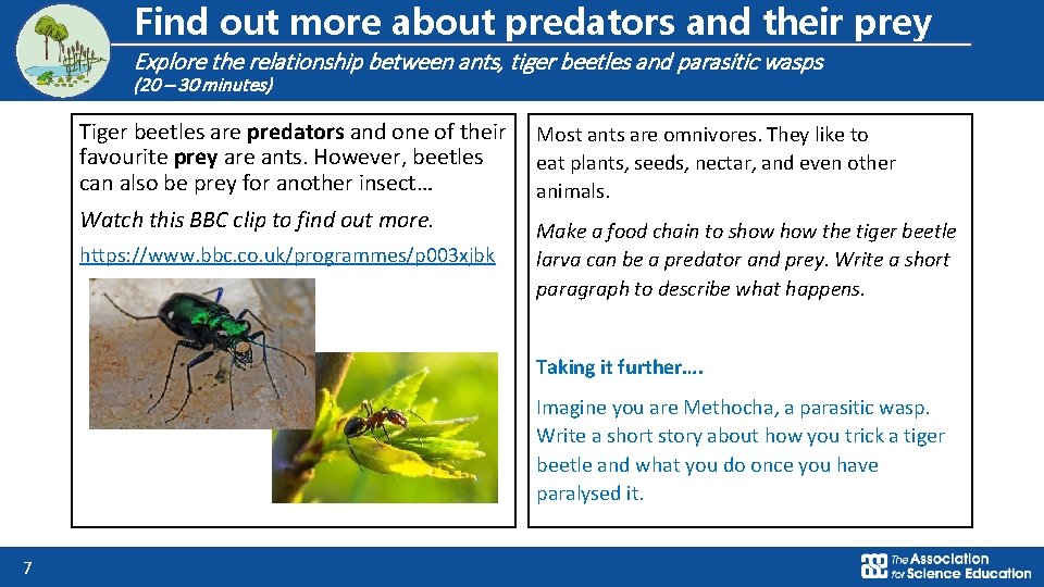 Logo for section to sit inside roundel Find out more about predators and their