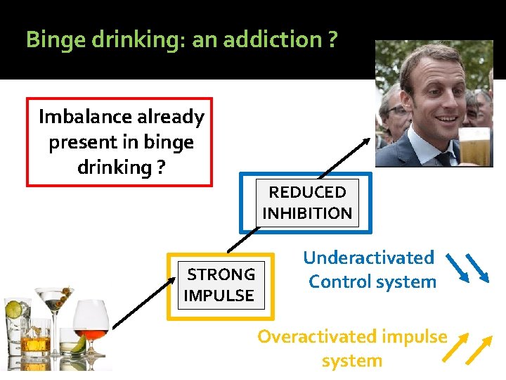 Binge drinking: an addiction ? Imbalance already present in binge drinking ? REDUCED INHIBITION