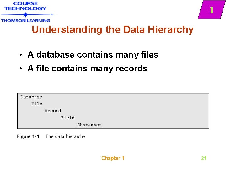 1 Understanding the Data Hierarchy • A database contains many files • A file