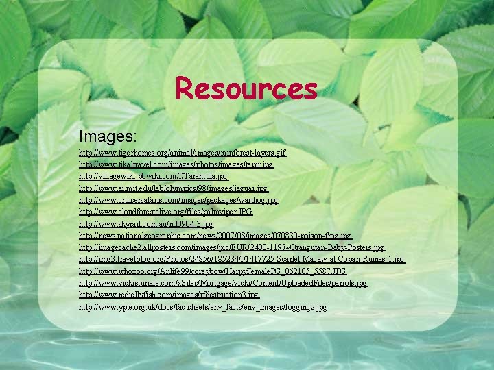 Resources Images: http: //www. tigerhomes. org/animal/images/rainforest-layers. gif http: //www. tikaltravel. com/images/photos/images/tapir. jpg http: //villagewiki.