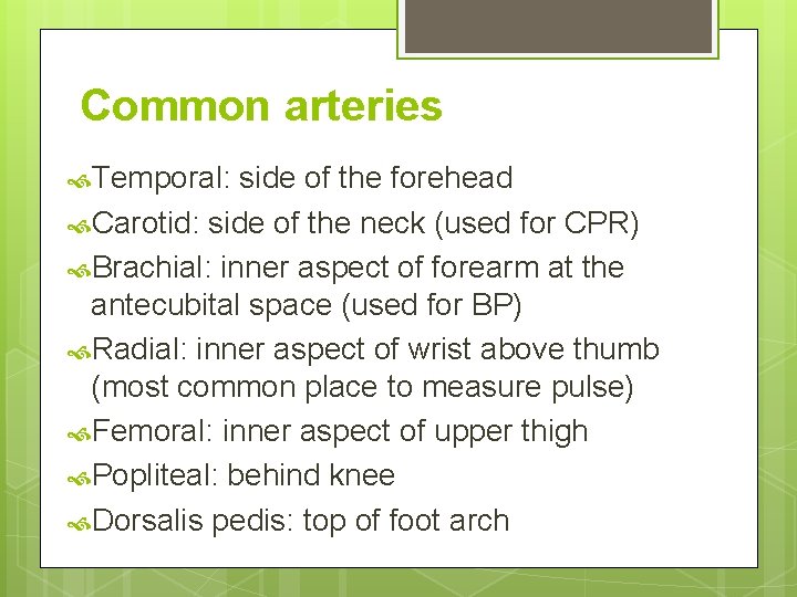 Common arteries Temporal: side of the forehead Carotid: side of the neck (used for Common arteries Temporal: side of the forehead Carotid: side of the neck (used for