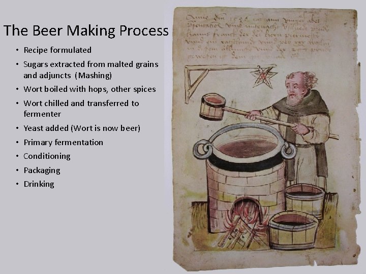 The Beer Making Process • Recipe formulated • Sugars extracted from malted grains and