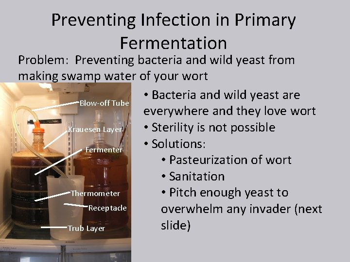 Preventing Infection in Primary Fermentation Problem: Preventing bacteria and wild yeast from making swamp