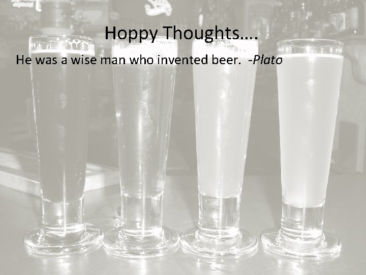 Hoppy Thoughts…. He was a wise man who invented beer. -Plato 