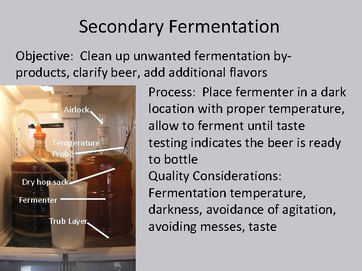 Secondary Fermentation Objective: Clean up unwanted fermentation byproducts, clarify beer, additional flavors Process: Place