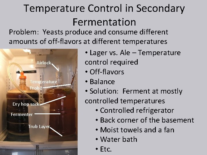 Temperature Control in Secondary Fermentation Problem: Yeasts produce and consume different amounts of off-flavors