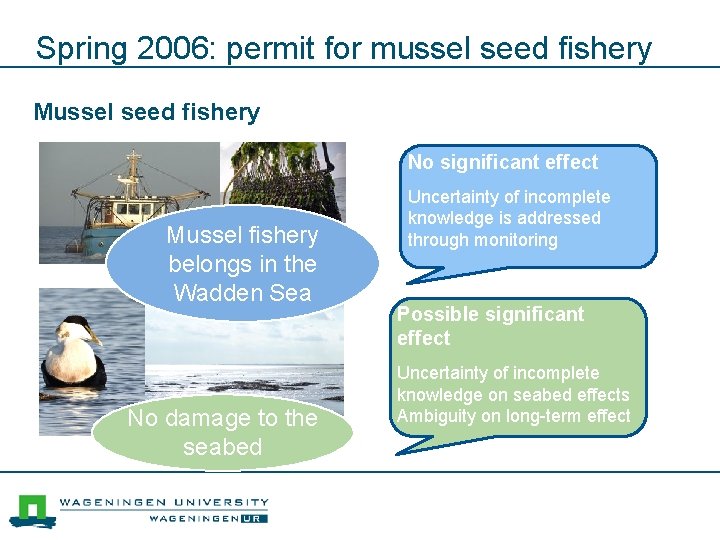 Spring 2006: permit for mussel seed fishery Mussel seed fishery No significant effect Mussel