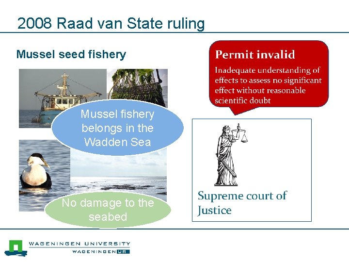 2008 Raad van State ruling Mussel seed fishery Mussel fishery belongs in the Wadden