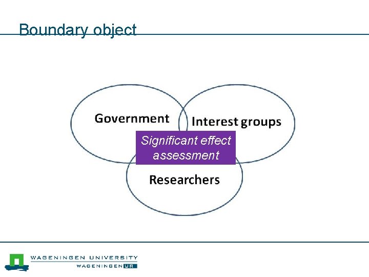 Boundary object Significant effect assessment 