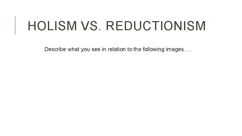 HOLISM VS. REDUCTIONISM Describe what you see in relation to the following images…. 