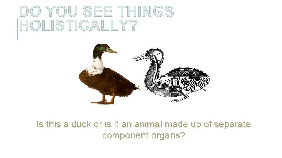 DO YOU SEE THINGS HOLISTICALLY? Is this a duck or is it an animal