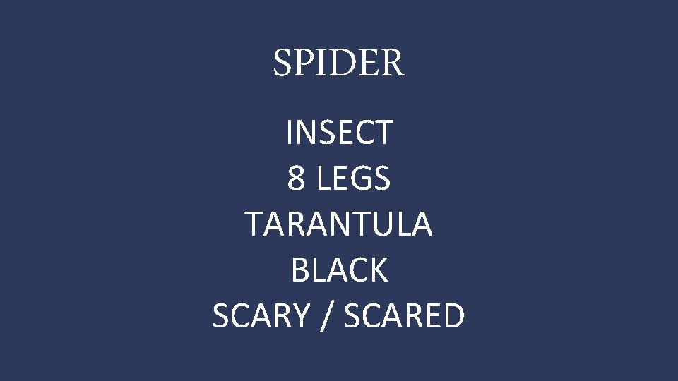 SPIDER INSECT 8 LEGS TARANTULA BLACK SCARY / SCARED 