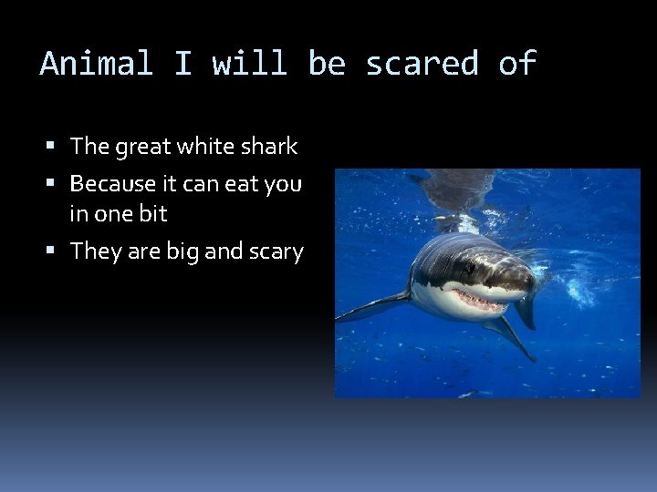 Animal I will be scared of The great white shark Because it can eat