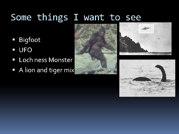 Some things I want to see Bigfoot UFO Loch ness Monster A lion and