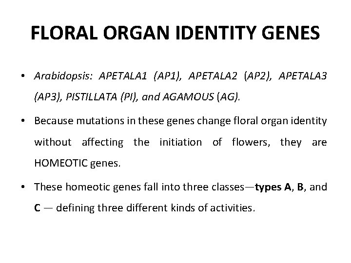 FLORAL ORGAN IDENTITY GENES • Arabidopsis: APETALA 1 (AP 1), APETALA 2 (AP 2),