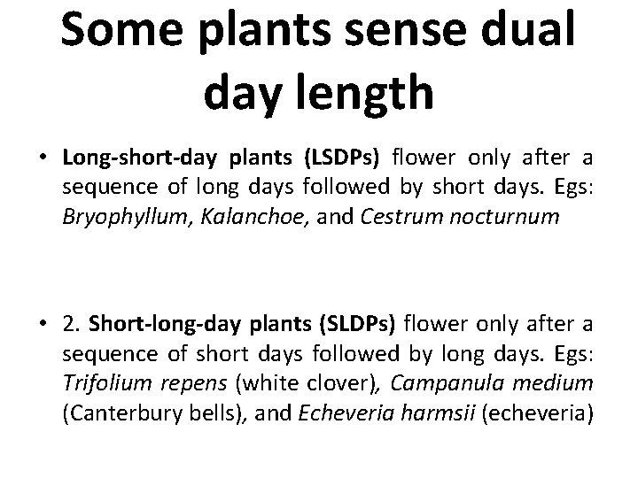 Some plants sense dual day length • Long-short-day plants (LSDPs) flower only after a