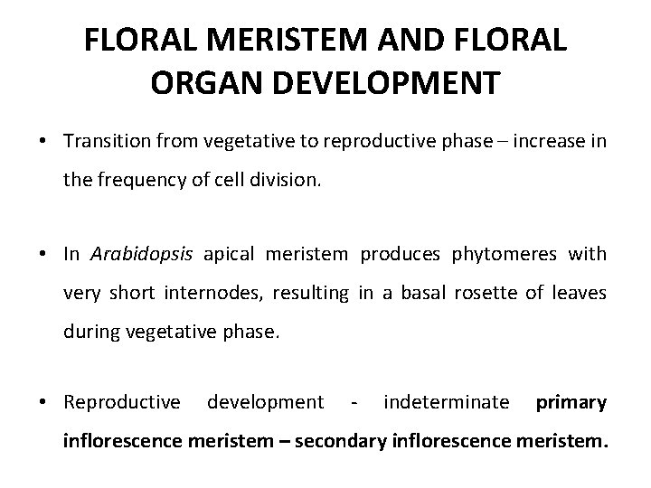 FLORAL MERISTEM AND FLORAL ORGAN DEVELOPMENT • Transition from vegetative to reproductive phase –