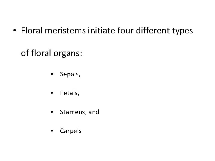  • Floral meristems initiate four different types of floral organs: • Sepals, •