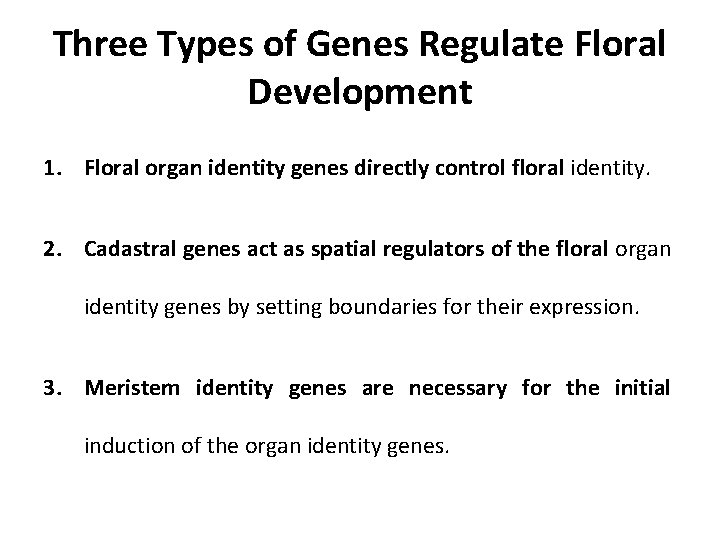 Three Types of Genes Regulate Floral Development 1. Floral organ identity genes directly control