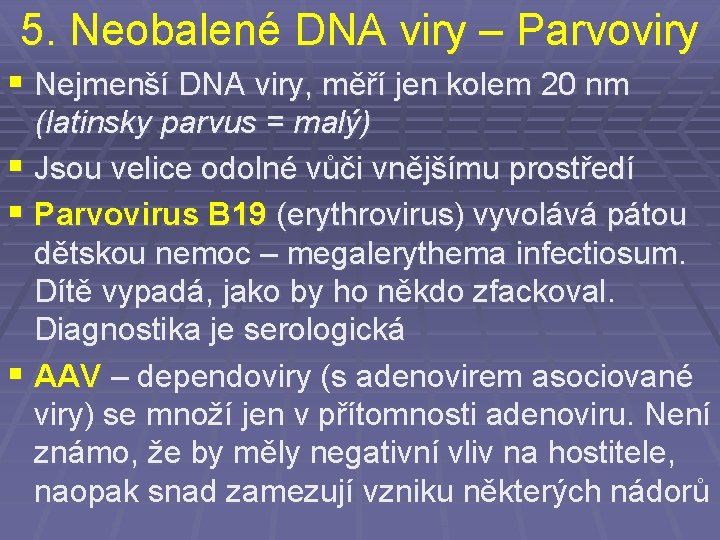 5. Neobalené DNA viry – Parvoviry § Nejmenší DNA viry, měří jen kolem 20