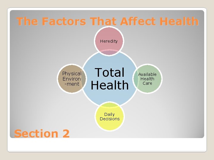 The Factors That Affect Health Heredity Physical Environ -ment Total Health Daily Decisions Section