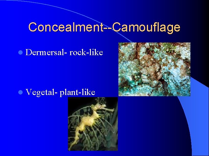 Concealment--Camouflage l Dermersal- l Vegetal- rock-like plant-like 