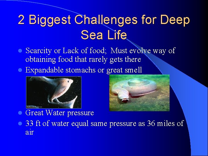 2 Biggest Challenges for Deep Sea Life Scarcity or Lack of food; Must evolve