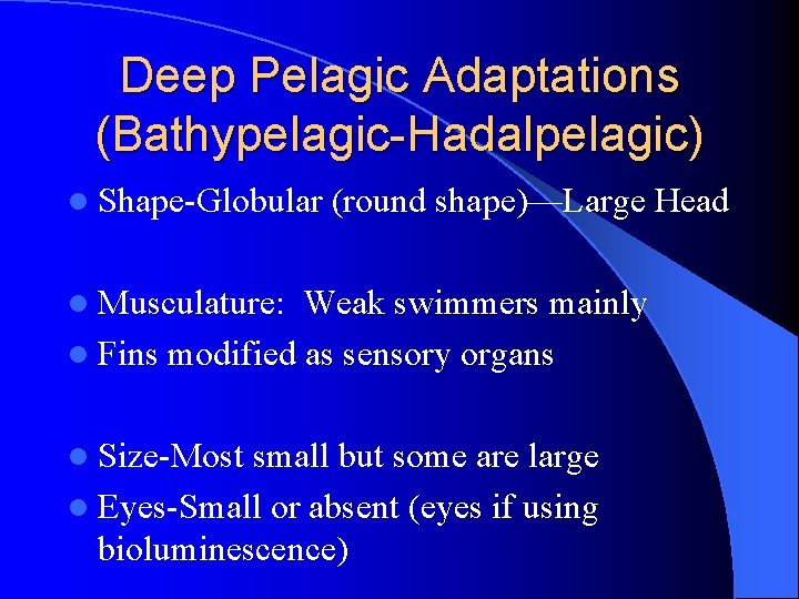 Deep Pelagic Adaptations (Bathypelagic-Hadalpelagic) l Shape-Globular (round shape)—Large Head l Musculature: Weak swimmers mainly