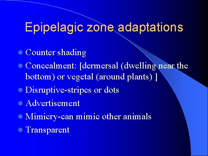 Epipelagic zone adaptations l Counter shading l Concealment: [dermersal (dwelling near the bottom) or