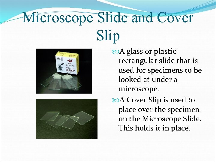 Microscope Slide and Cover Slip A glass or plastic rectangular slide that is used